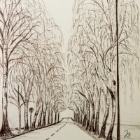 Birch Parkway
