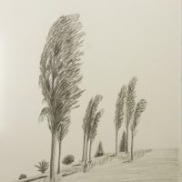 Summer Breeze