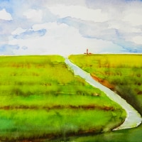 Quicly Meadow Quicly Meadow