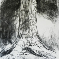 Tree Trunk in Coal Tree Trunk in Coal