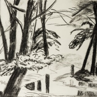 Forest Stream 2 Forest Stream 2