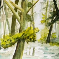 540221 Waldbach * Forest Stream 2 540221 Waldbach * Forest Stream 2