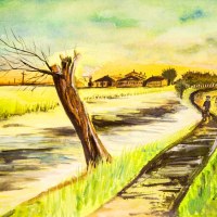 540302  Kopfweide * Pollard Willow1