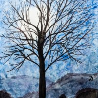 540303  Baum im Mondlicht * Moonlight Tree