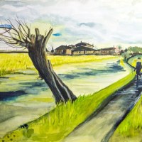 540304 Kopfweide * Pollard Willow2