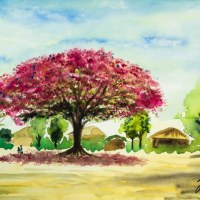 540410  Flammenbaum * Flame Tree