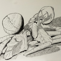 Vegetable Still Life