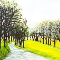 540305  Obstblüte * Fruit Trees