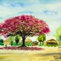 540410  Flammenbaum * Flame Tree